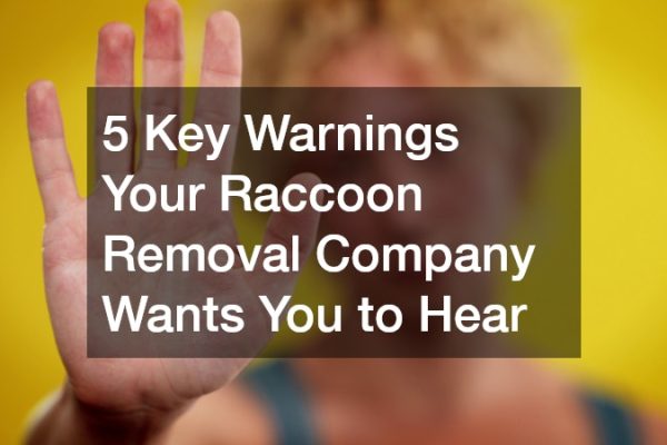 5 Key Warnings Your Raccoon Removal Company Wants You to Hear